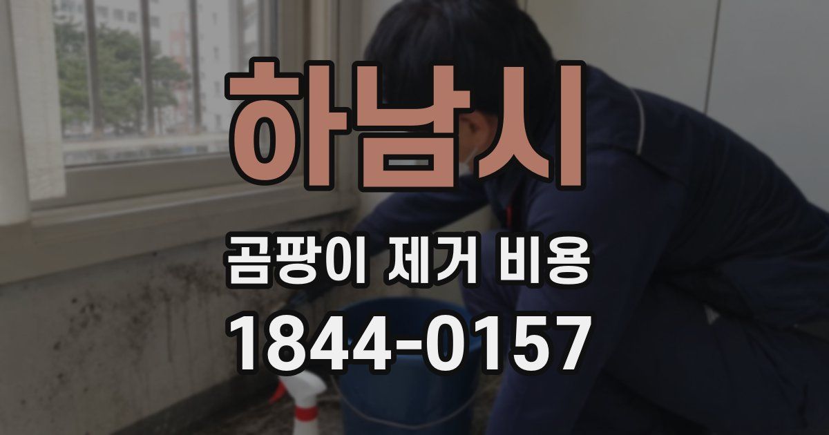 하남시 곰팡이 제거 비용