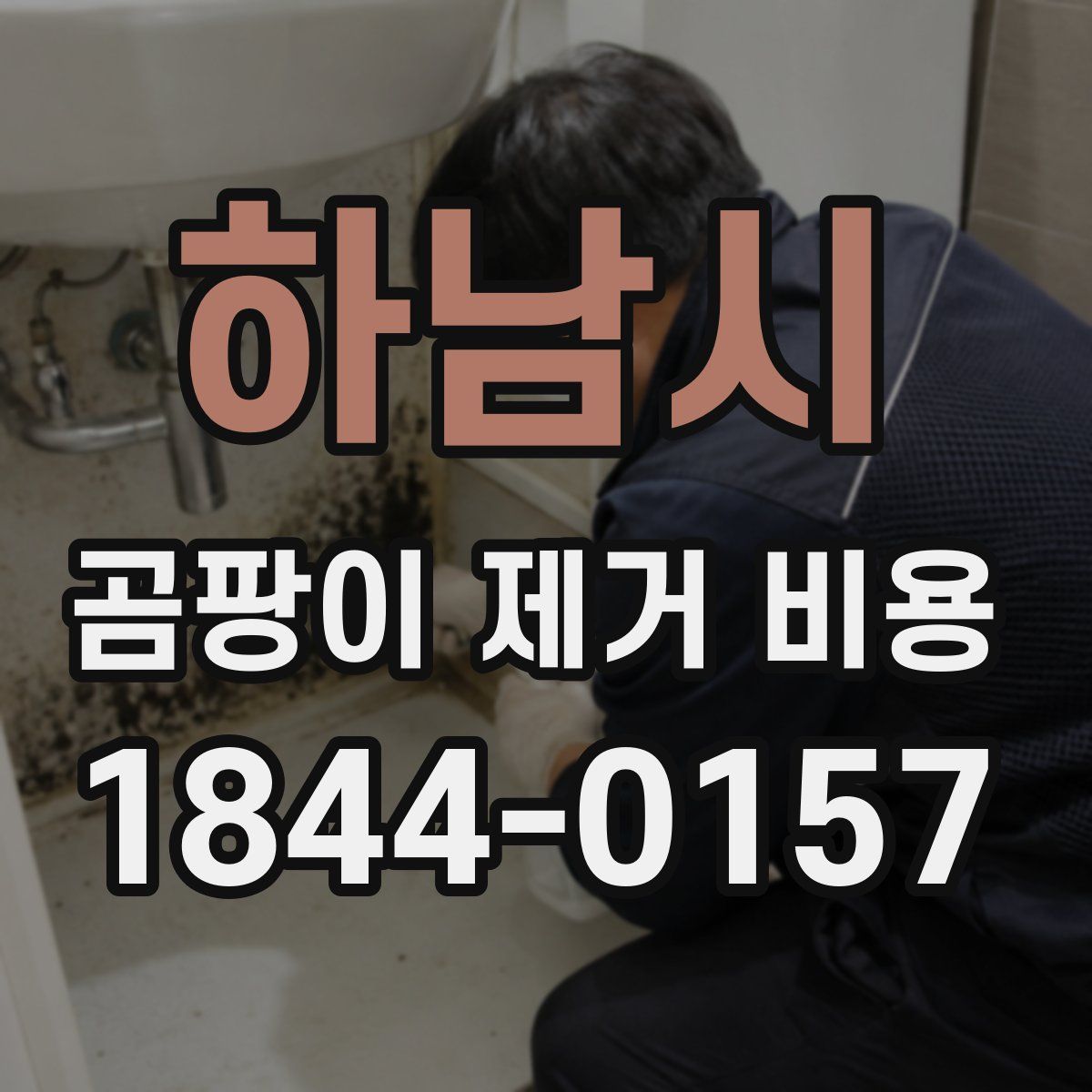 하남시 곰팡이 제거 비용