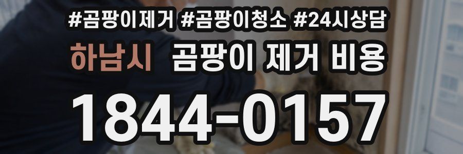 하남시 곰팡이 제거 비용
