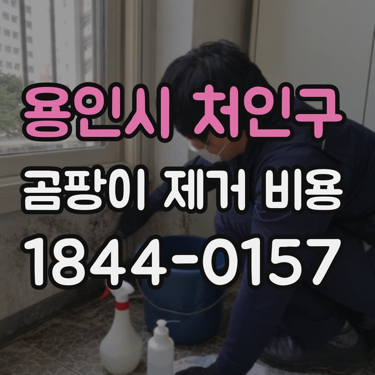 용인시 처인구 곰팡이 제거 비용 건조 시간과 입주 일정이 함께 바뀌는 경우