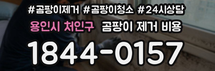 용인시 처인구 곰팡이 제거 비용