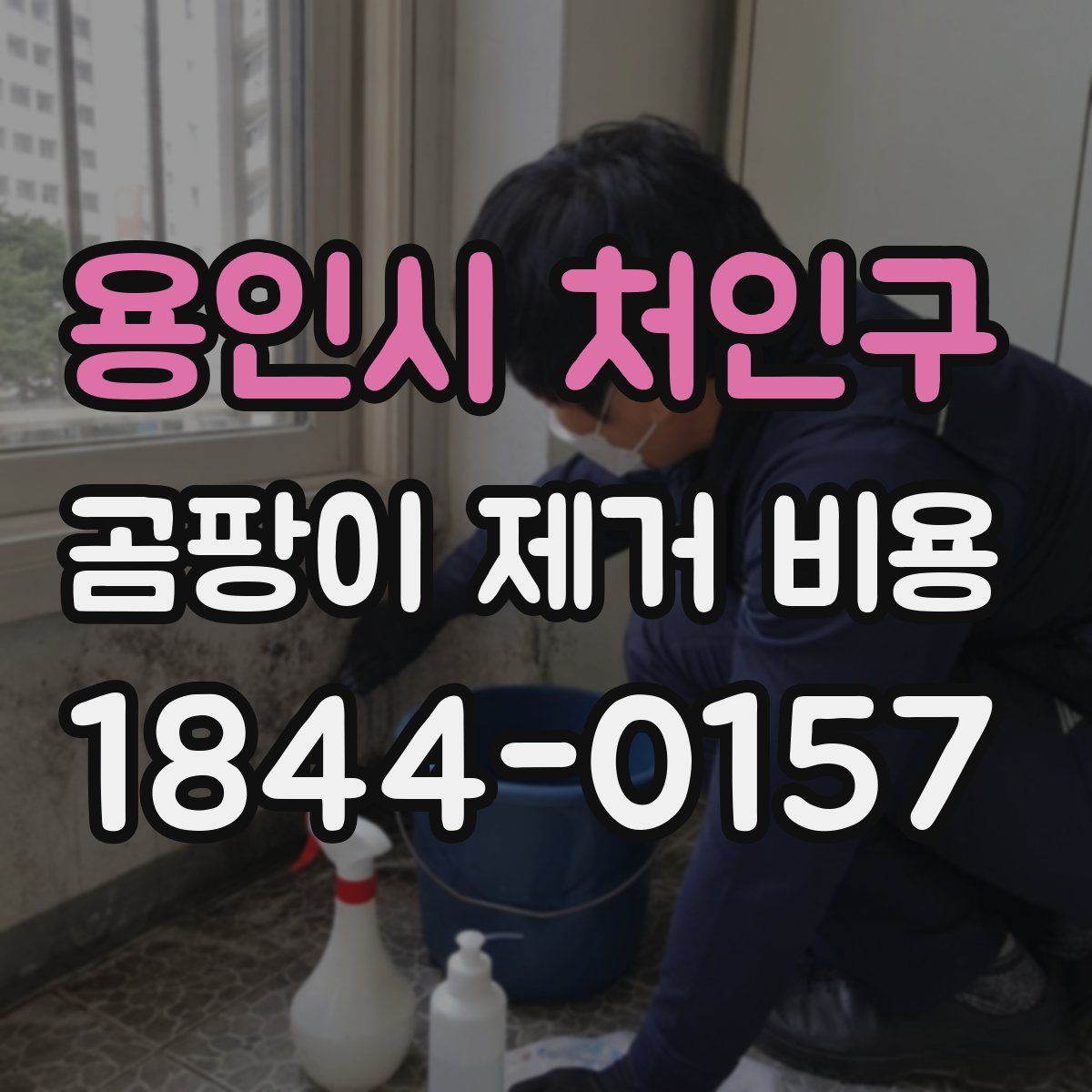 용인시 처인구 곰팡이 제거 비용