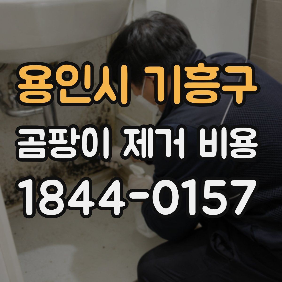 용인시 기흥구 곰팡이 제거 비용 재발 가능성까지 점검하는 방법