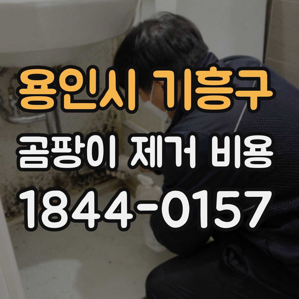 용인시 기흥구 곰팡이 제거 비용
