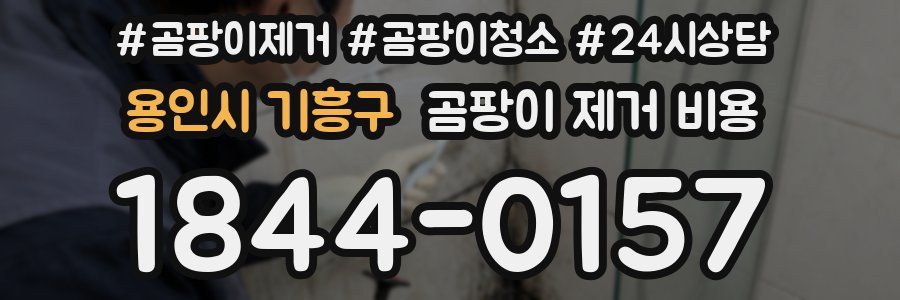 용인시 기흥구 곰팡이 제거 비용