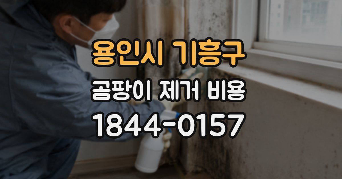용인시 기흥구 곰팡이 제거 비용