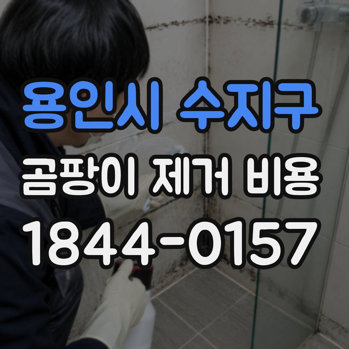용인시 수지구 곰팡이 제거 비용
