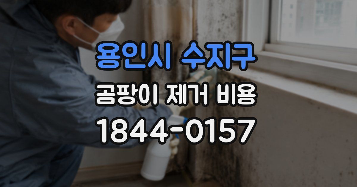 용인시 수지구 곰팡이 제거 비용