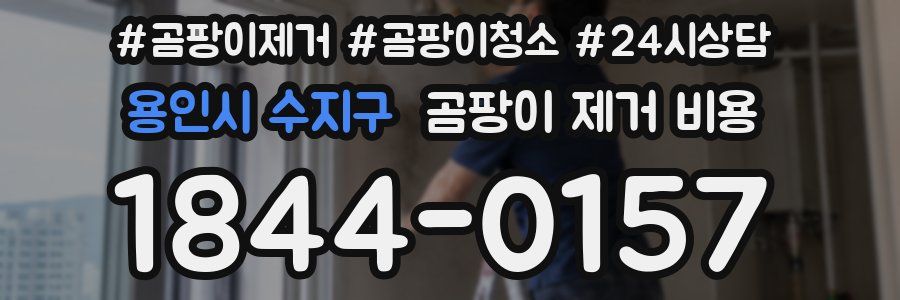 용인시 수지구 곰팡이 제거 비용