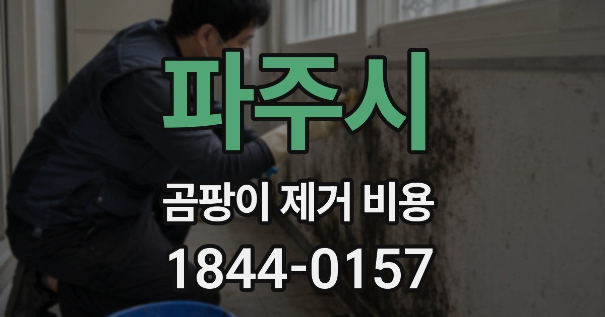 파주시 곰팡이 제거 비용