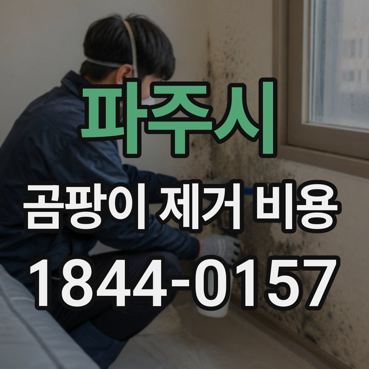 파주시 곰팡이 제거 비용