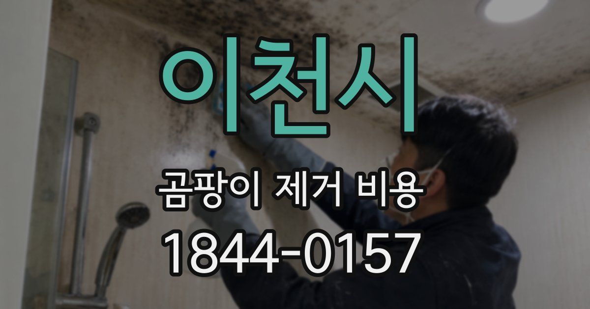 이천시 곰팡이 제거 비용