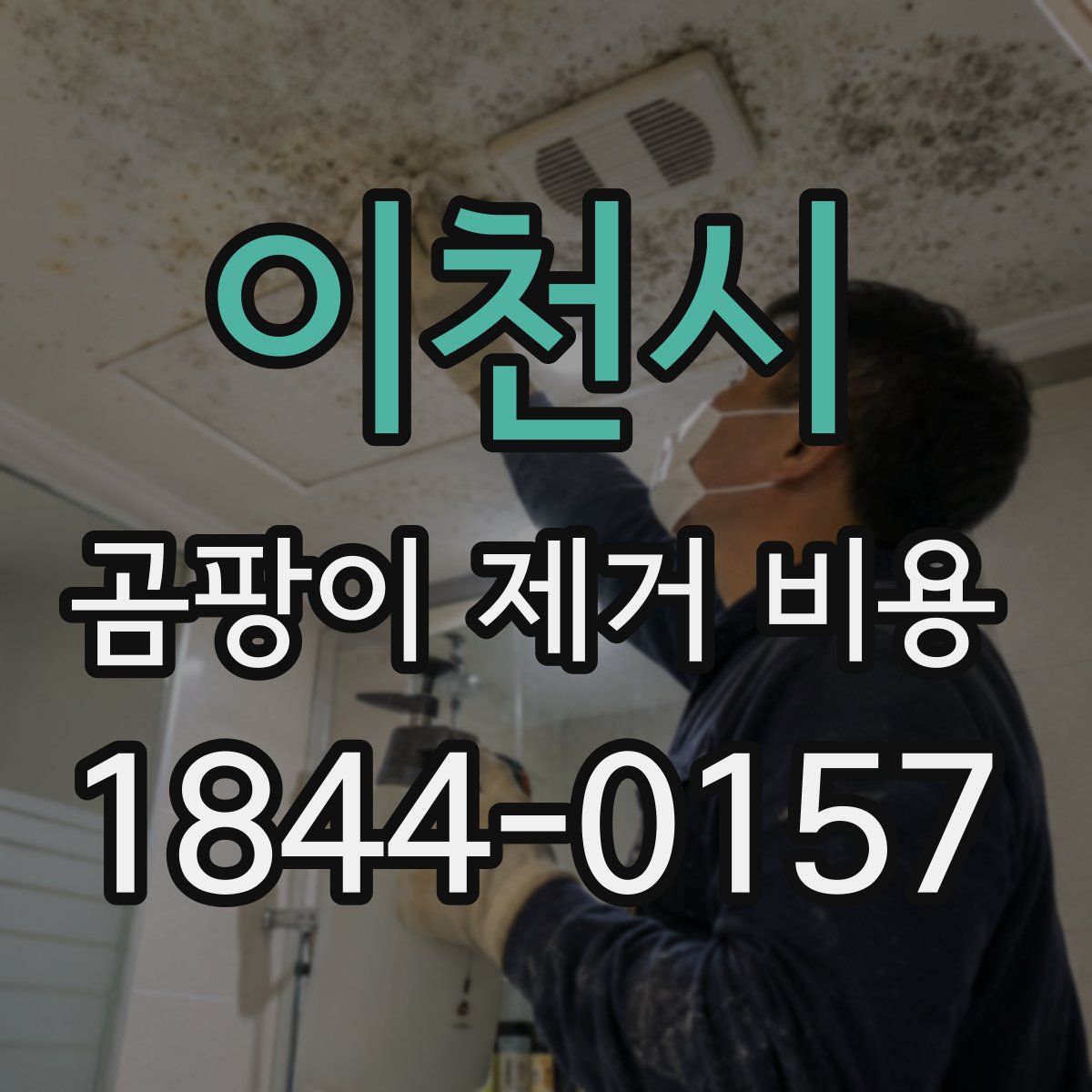 이천시 곰팡이 제거 비용