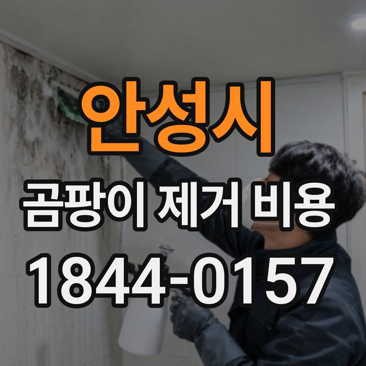 안성시 곰팡이 제거 비용