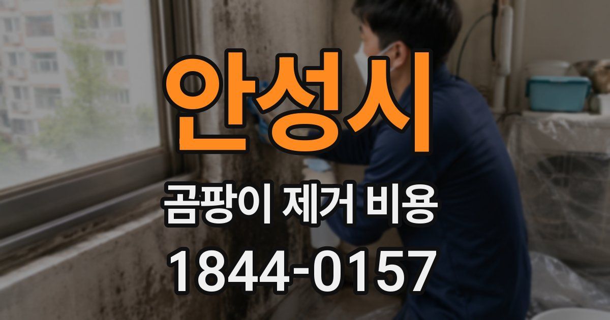 안성시 곰팡이 제거 비용