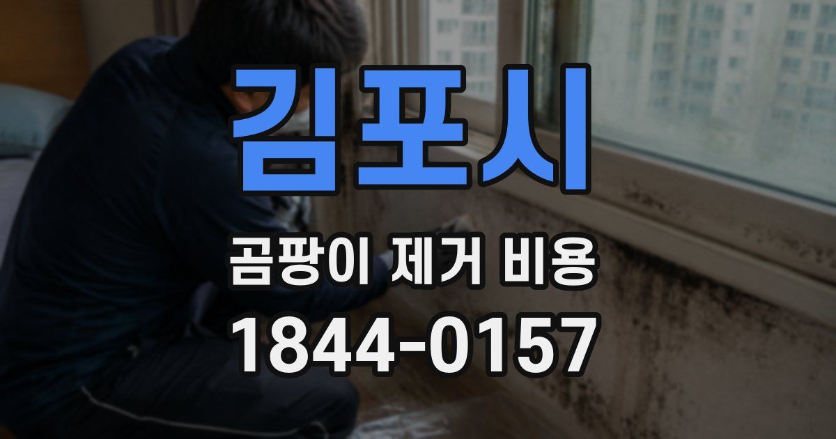 김포시 곰팡이 제거 비용