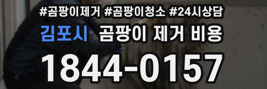 김포시 곰팡이 제거 비용