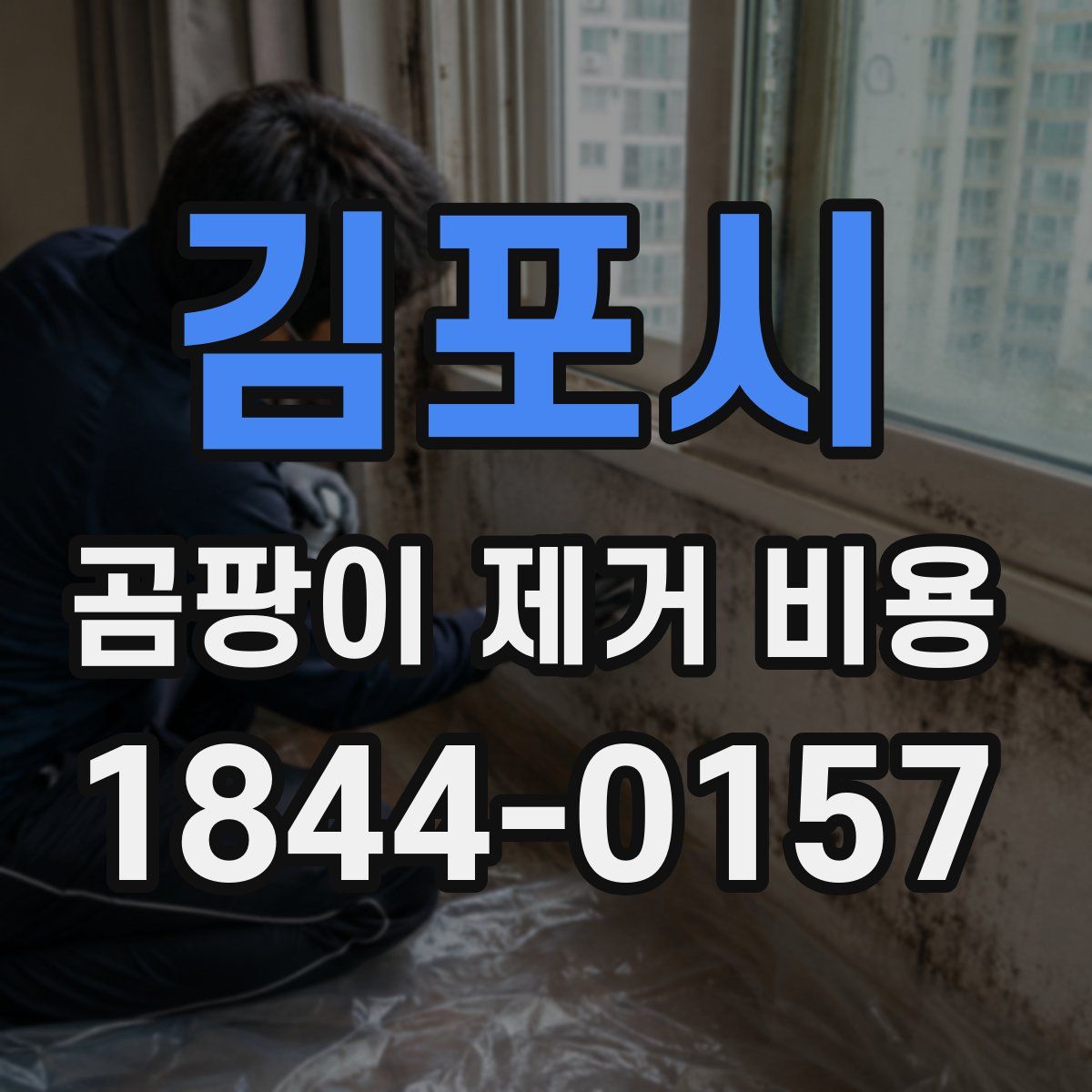김포시 곰팡이 제거 비용