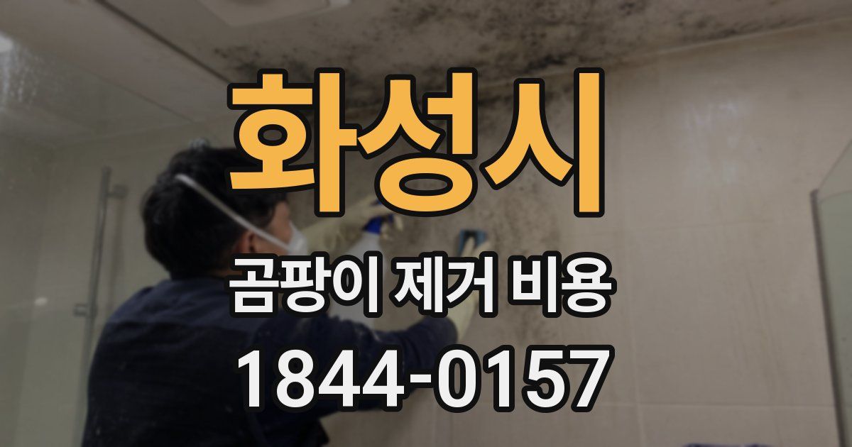 화성시 곰팡이 제거 비용