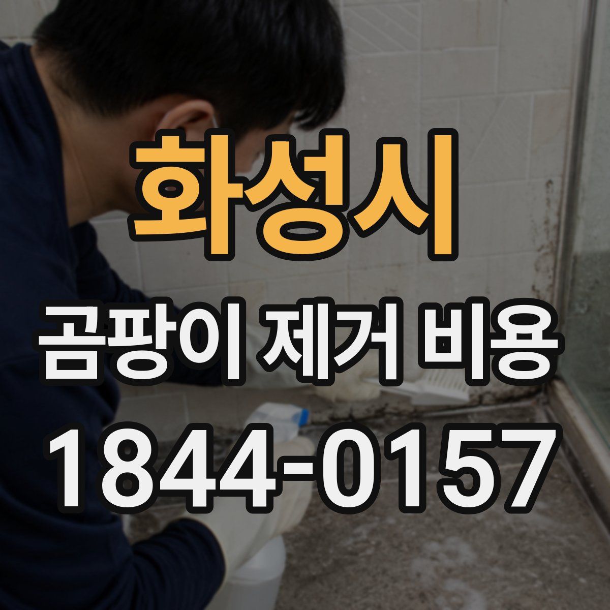 화성시 곰팡이 제거 비용