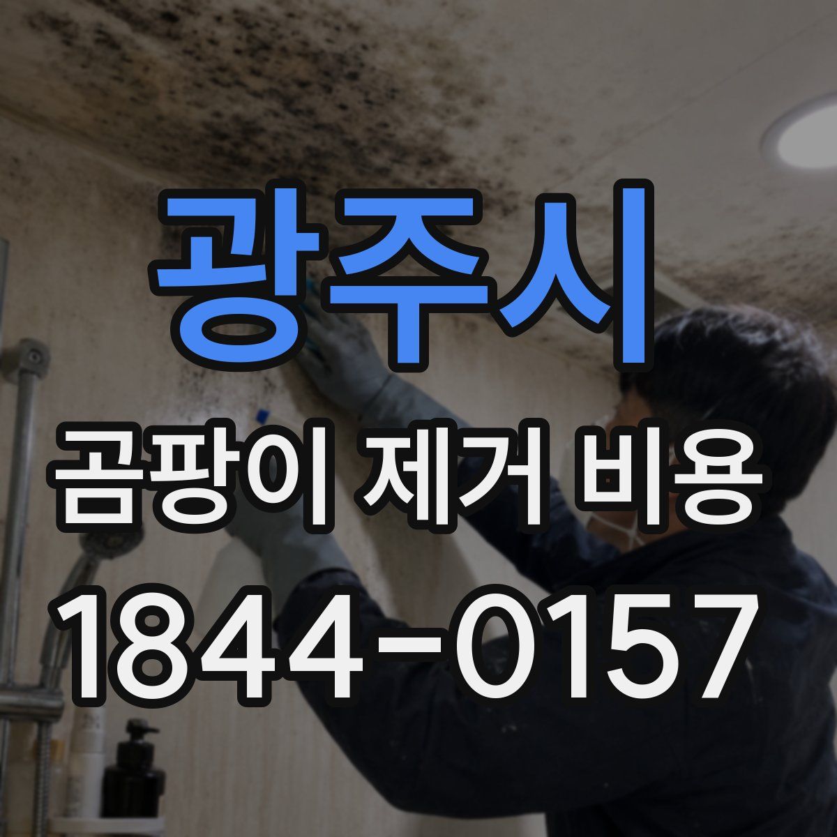 광주시 곰팡이 제거 비용