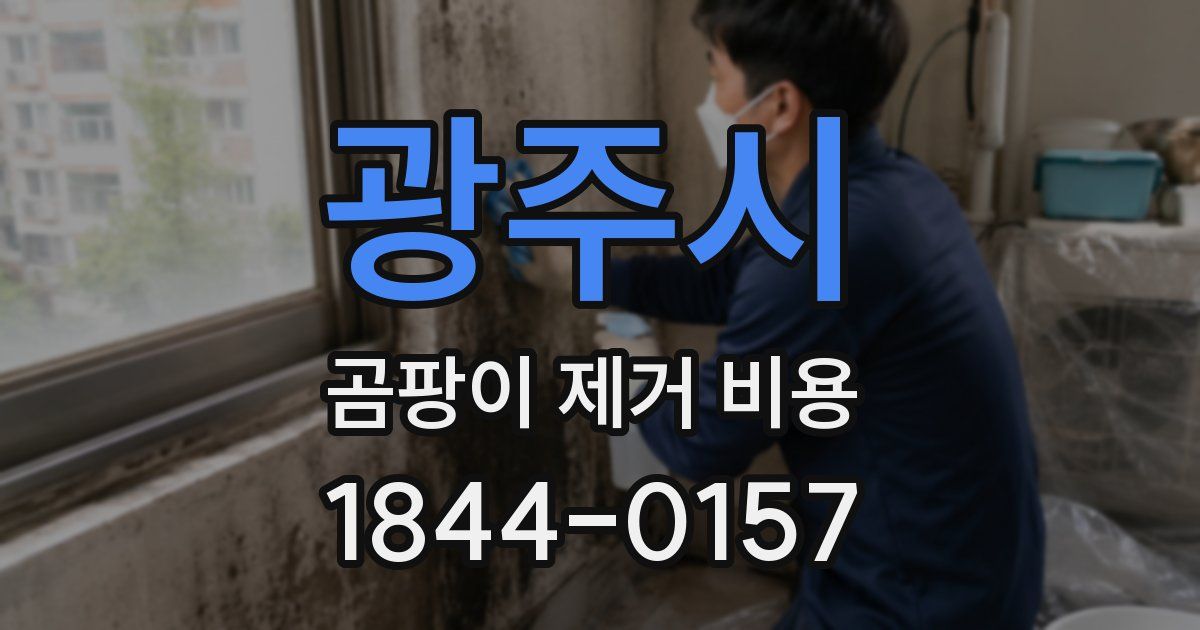 광주시 곰팡이 제거 비용