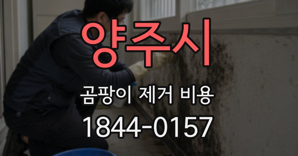 양주시 곰팡이 제거 비용