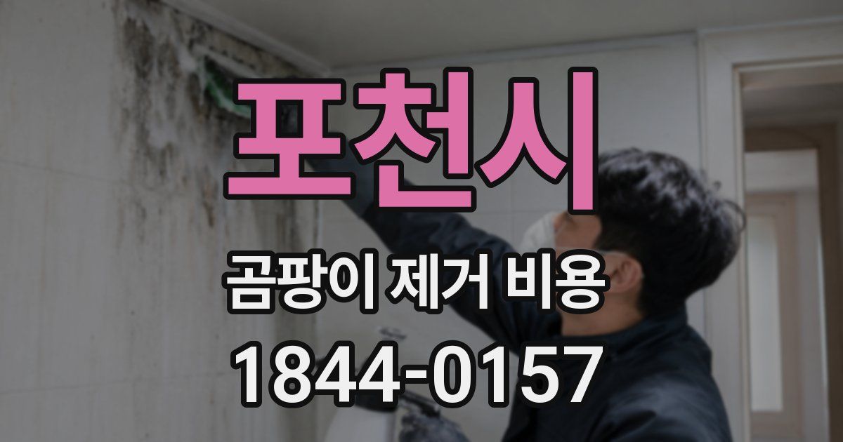 포천시 곰팡이 제거 비용