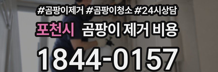 포천시 곰팡이 제거 비용