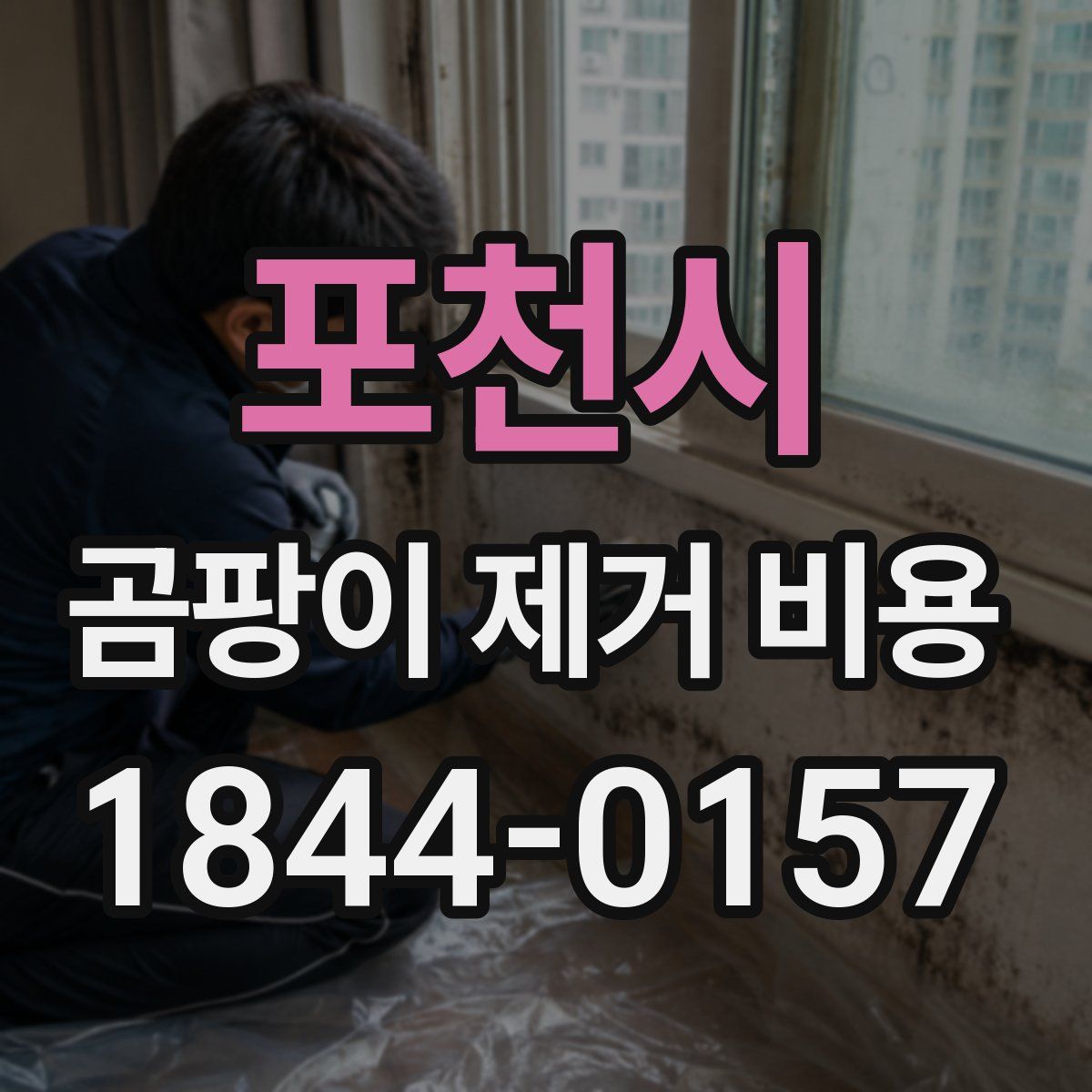 포천시 곰팡이 제거 비용
