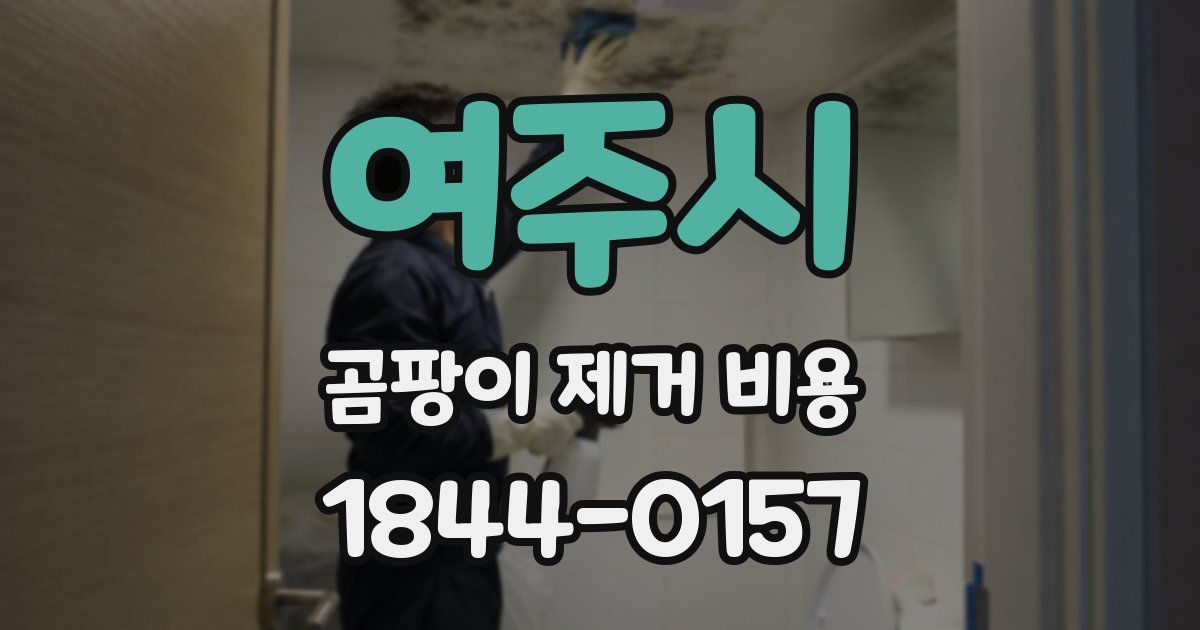여주시 곰팡이 제거 비용