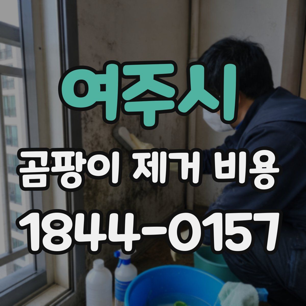여주시 곰팡이 제거 비용