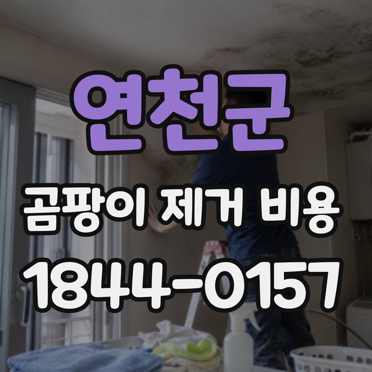 연천군 곰팡이 제거 비용