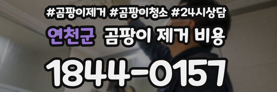 연천군 곰팡이 제거 비용