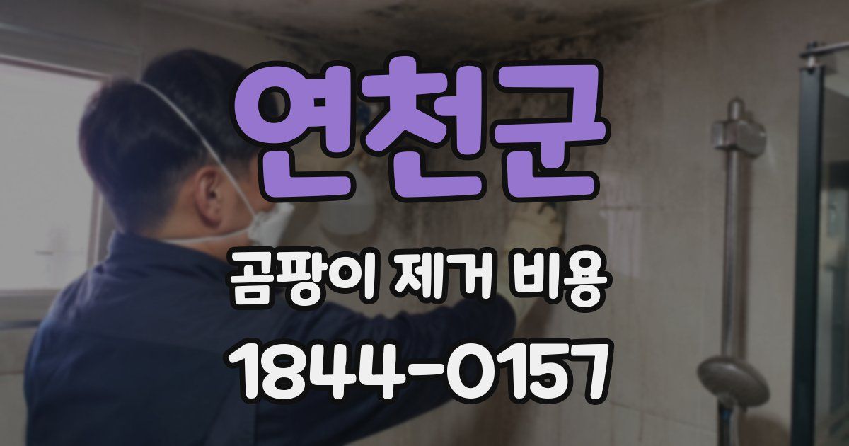연천군 곰팡이 제거 비용