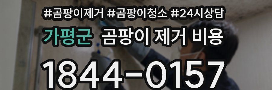 가평군 곰팡이 제거 비용