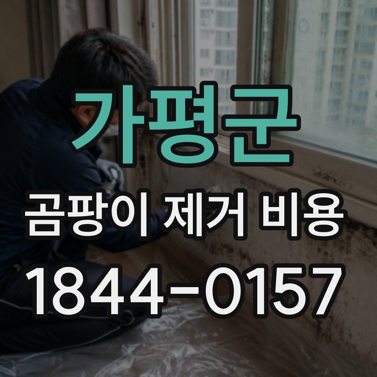 가평군 곰팡이 제거 비용