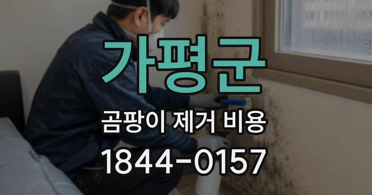 가평군 곰팡이 제거 비용