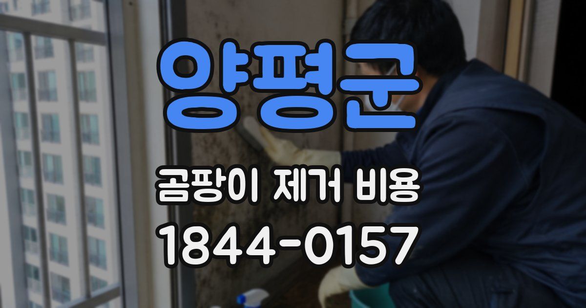 양평군 곰팡이 제거 비용