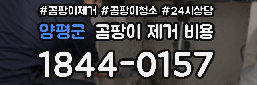 양평군 곰팡이 제거 비용