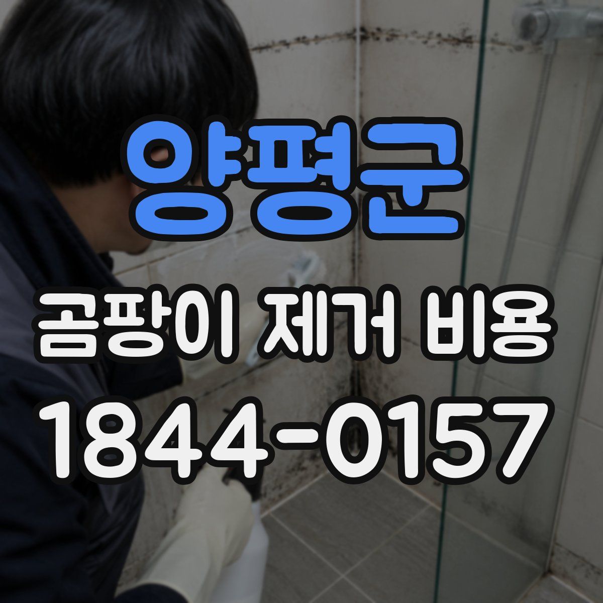 양평군 곰팡이 제거 비용