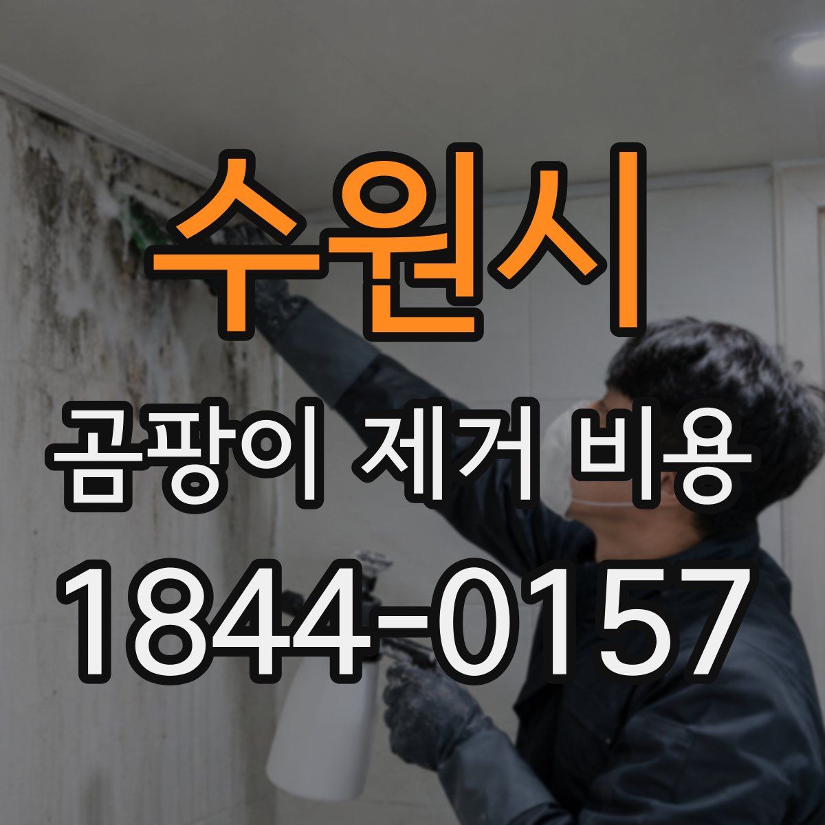 수원시 곰팡이 제거 비용