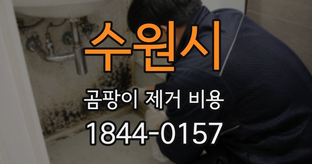 수원시 곰팡이 제거 비용