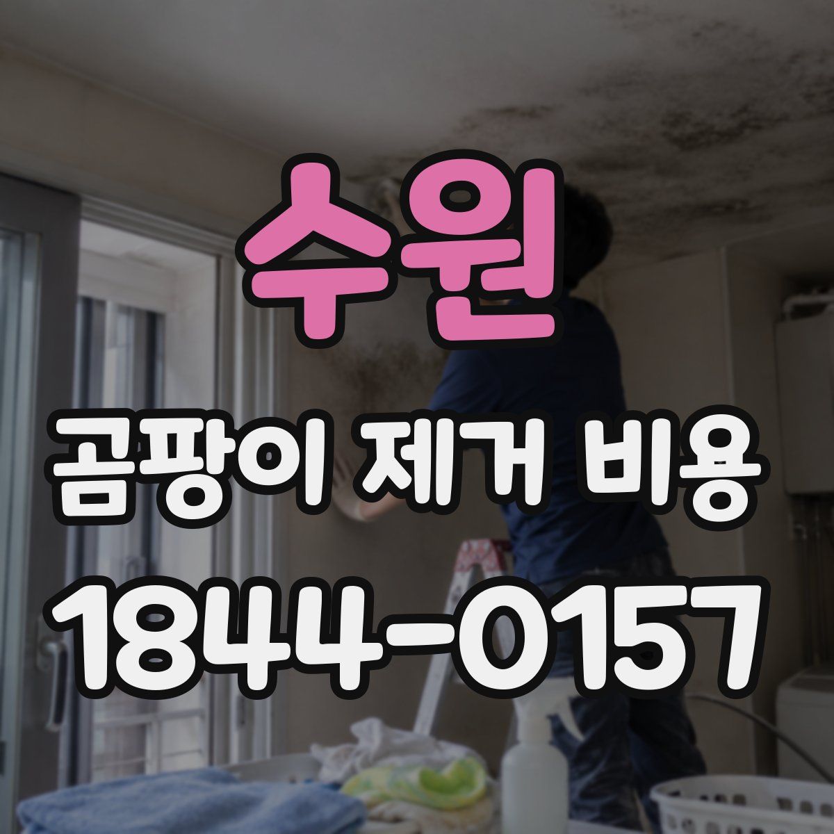 수원 곰팡이 제거 비용