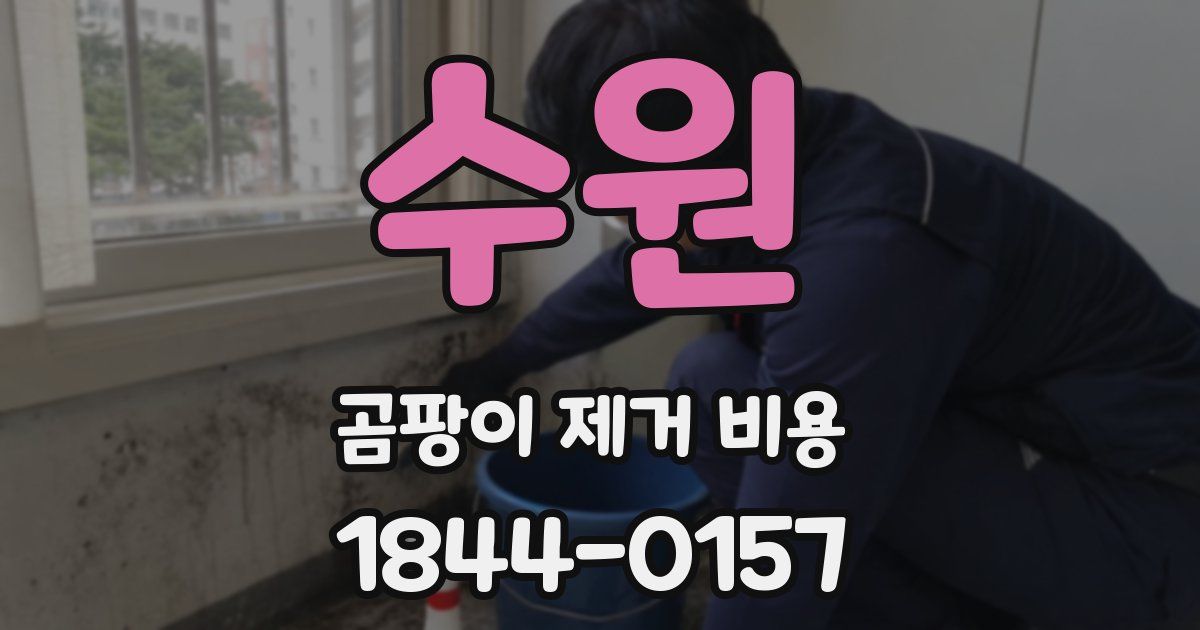 수원 곰팡이 제거 비용