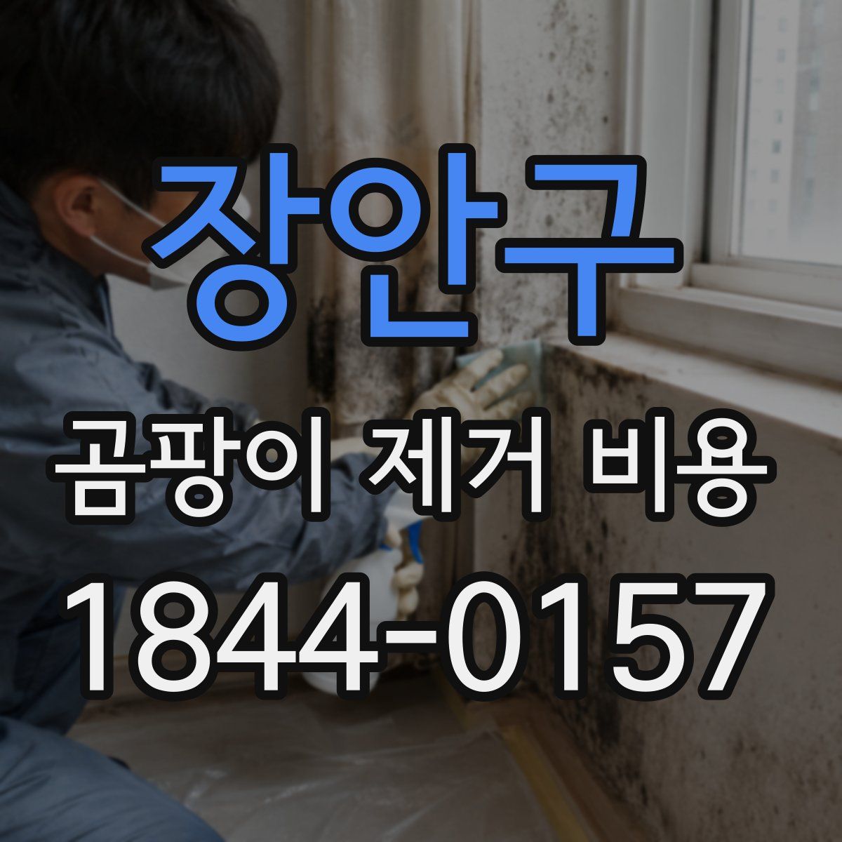 장안구 곰팡이 제거 비용