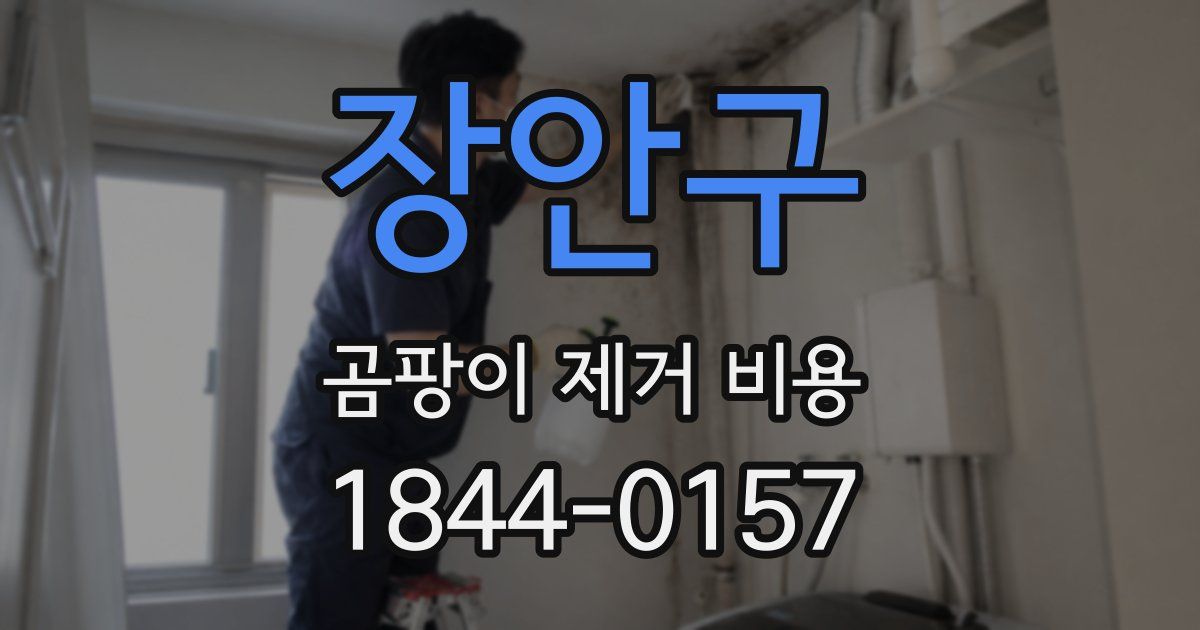 장안구 곰팡이 제거 비용