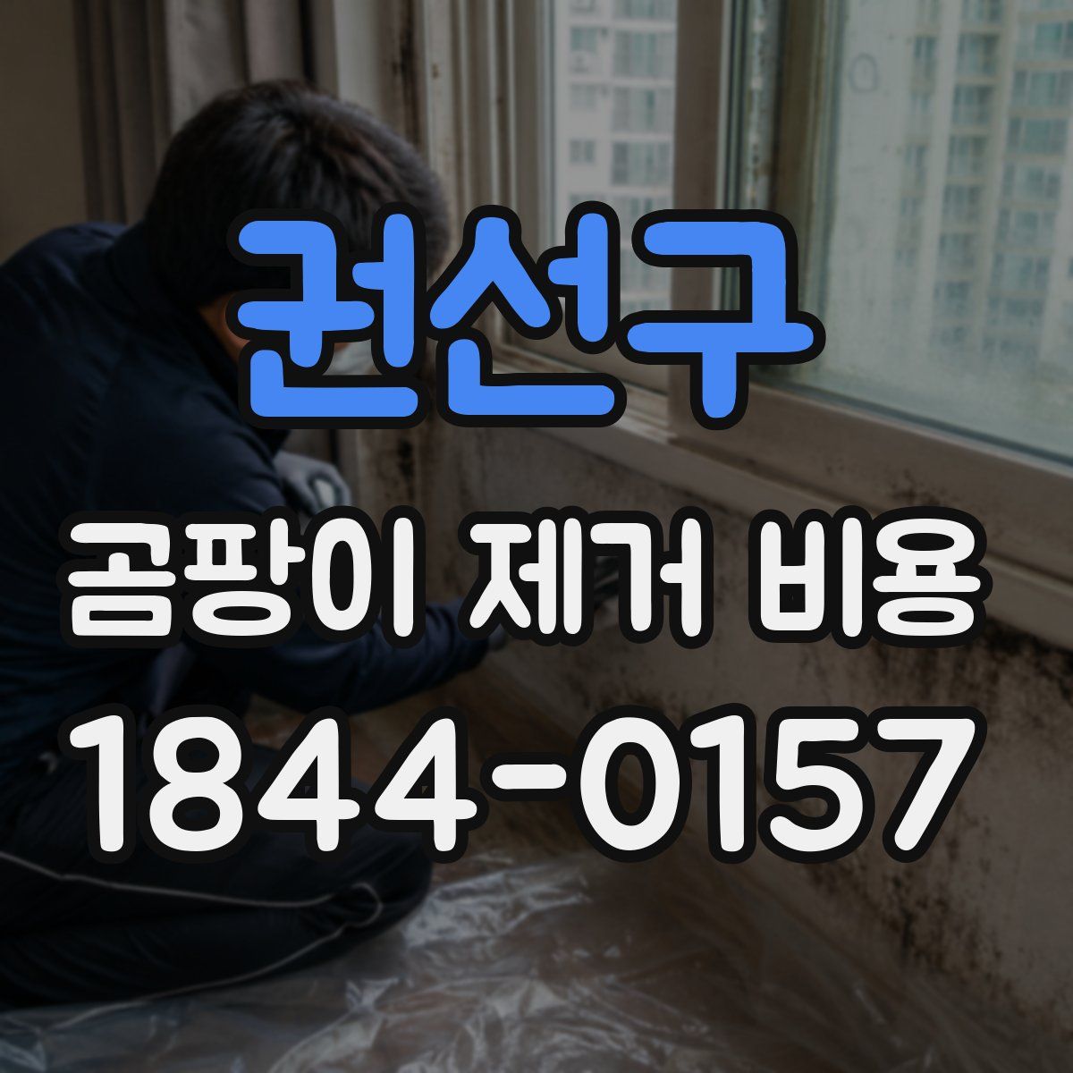 권선구 곰팡이 제거 비용