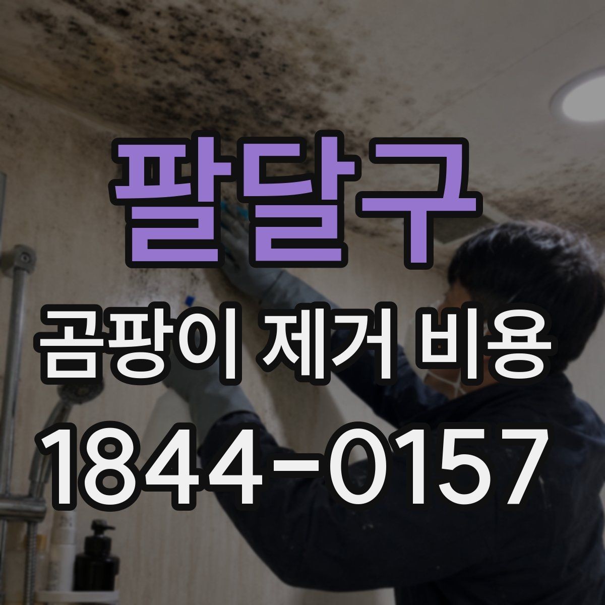 팔달구 곰팡이 제거 비용 곰팡이 원인 진단이 먼저인 이유
