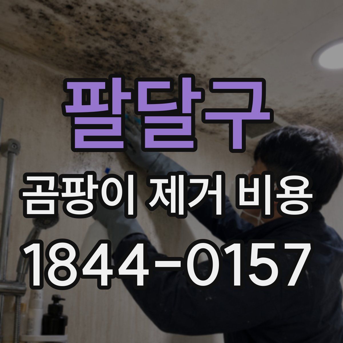 팔달구 곰팡이 제거 비용
